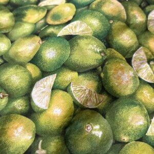Lime-Themed 100% Cotton Fabric By Makower UK 42" Wide 3 Yards For Crafts Quiltin